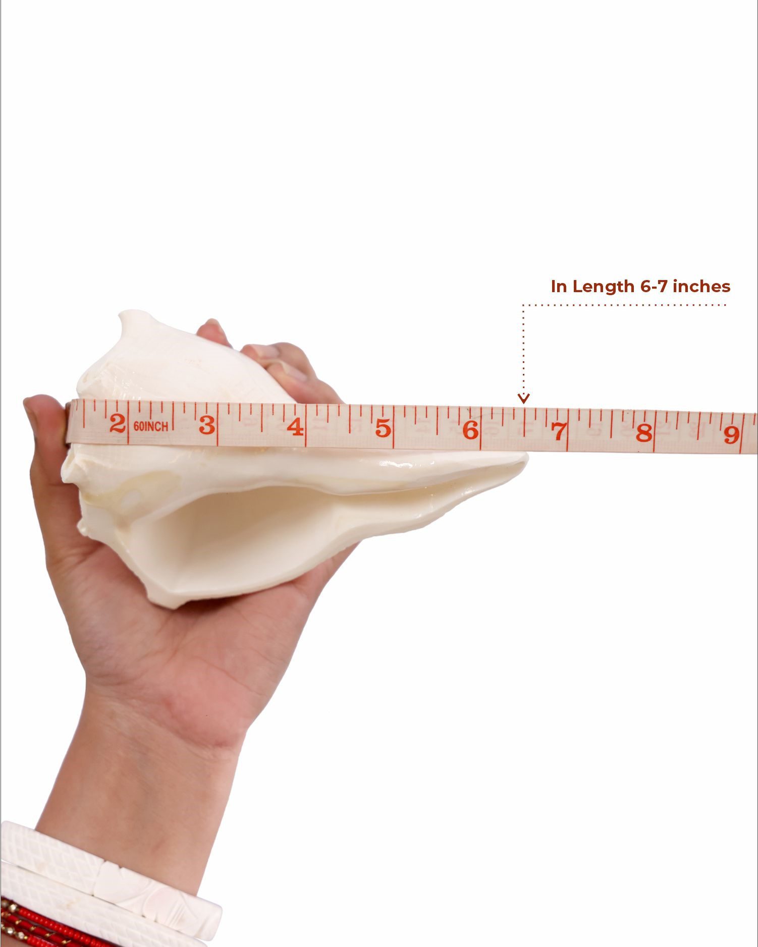 Lakshmi Shankh Medium in Length