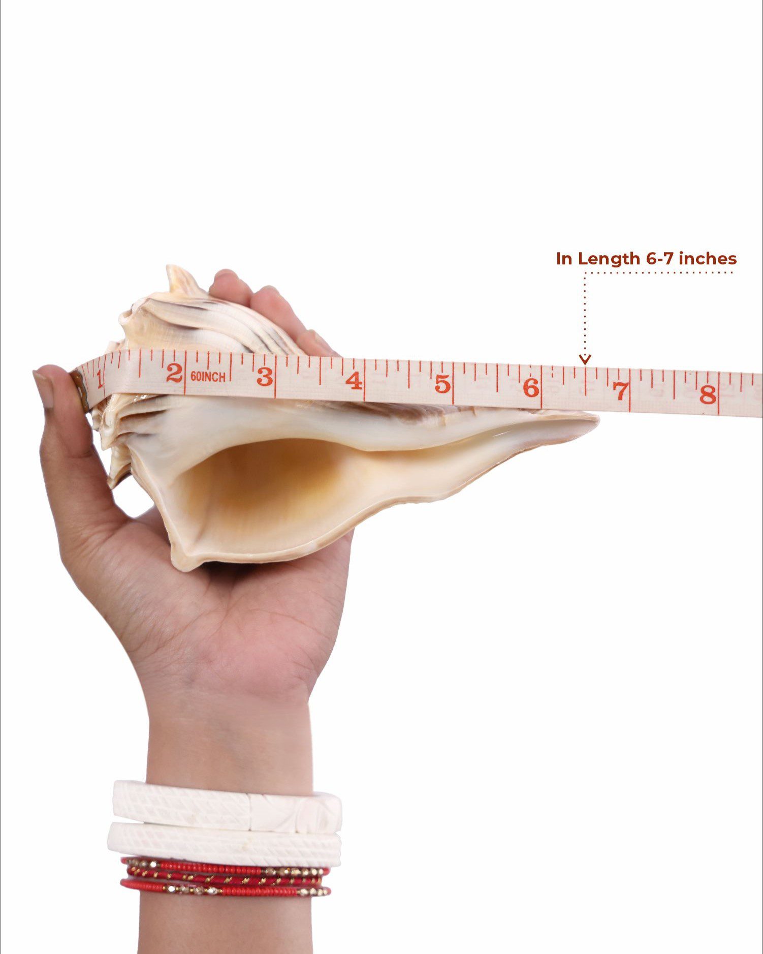 Lakshmi Shankh Medium in Length