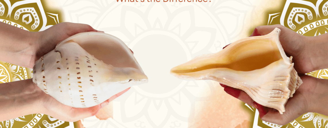 Vamavarti vs Dakshinavarti Shankh: What’s the Difference?