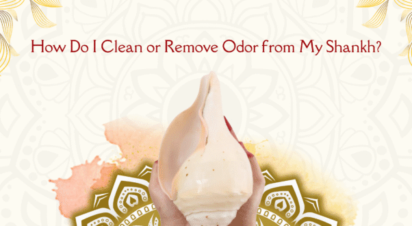 How Do I Clean or Remove Odor from My Shank?