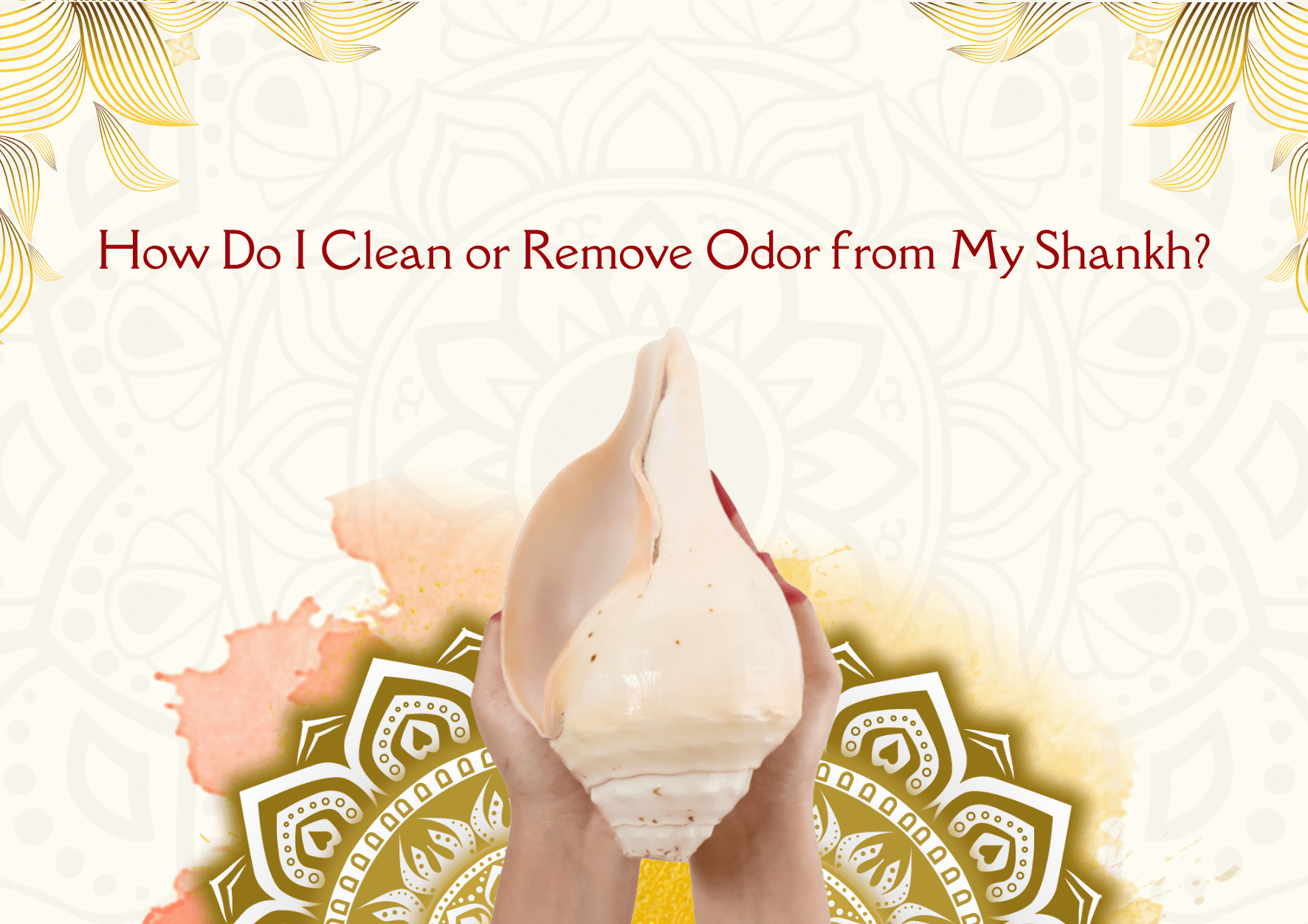 How Do I Clean or Remove Odor from My Shank?