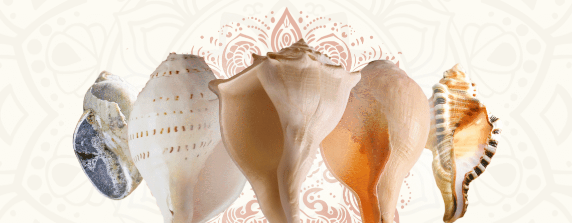 Which shankh is Right for You? A Guide Based on Purpose & Energy