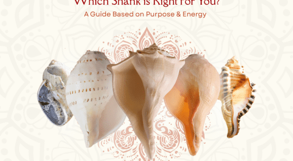 Which shankh is Right for You? A Guide Based on Purpose & Energy