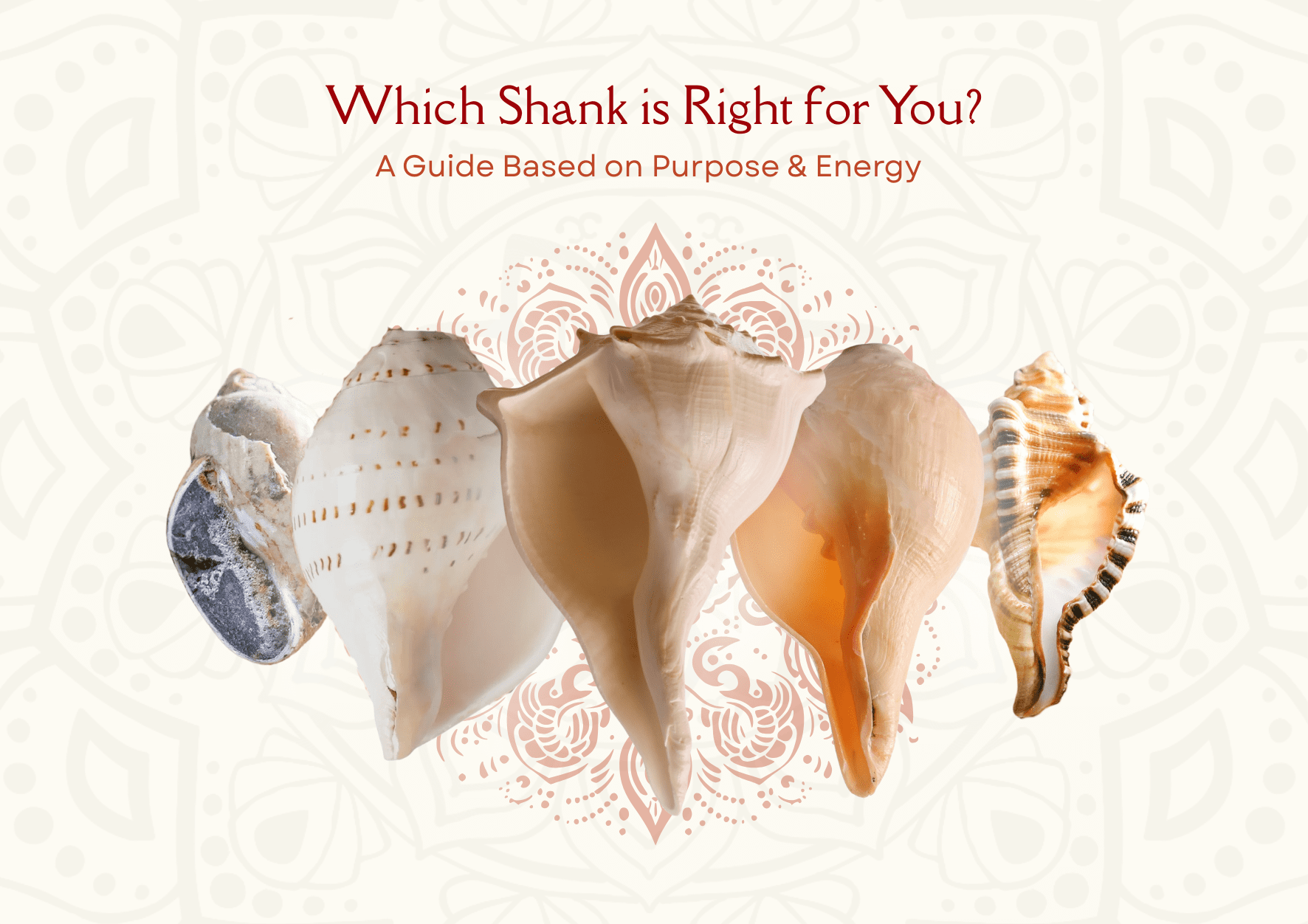 Which shankh is Right for You? A Guide Based on Purpose & Energy