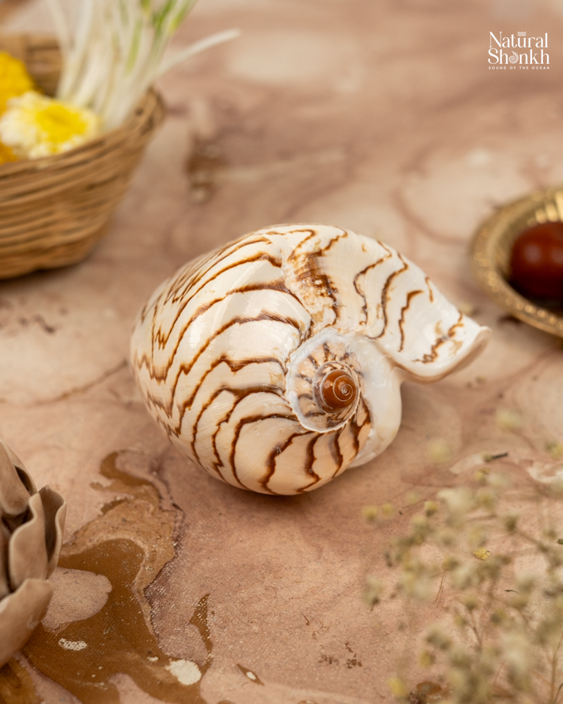 Melo Melo Home Decor