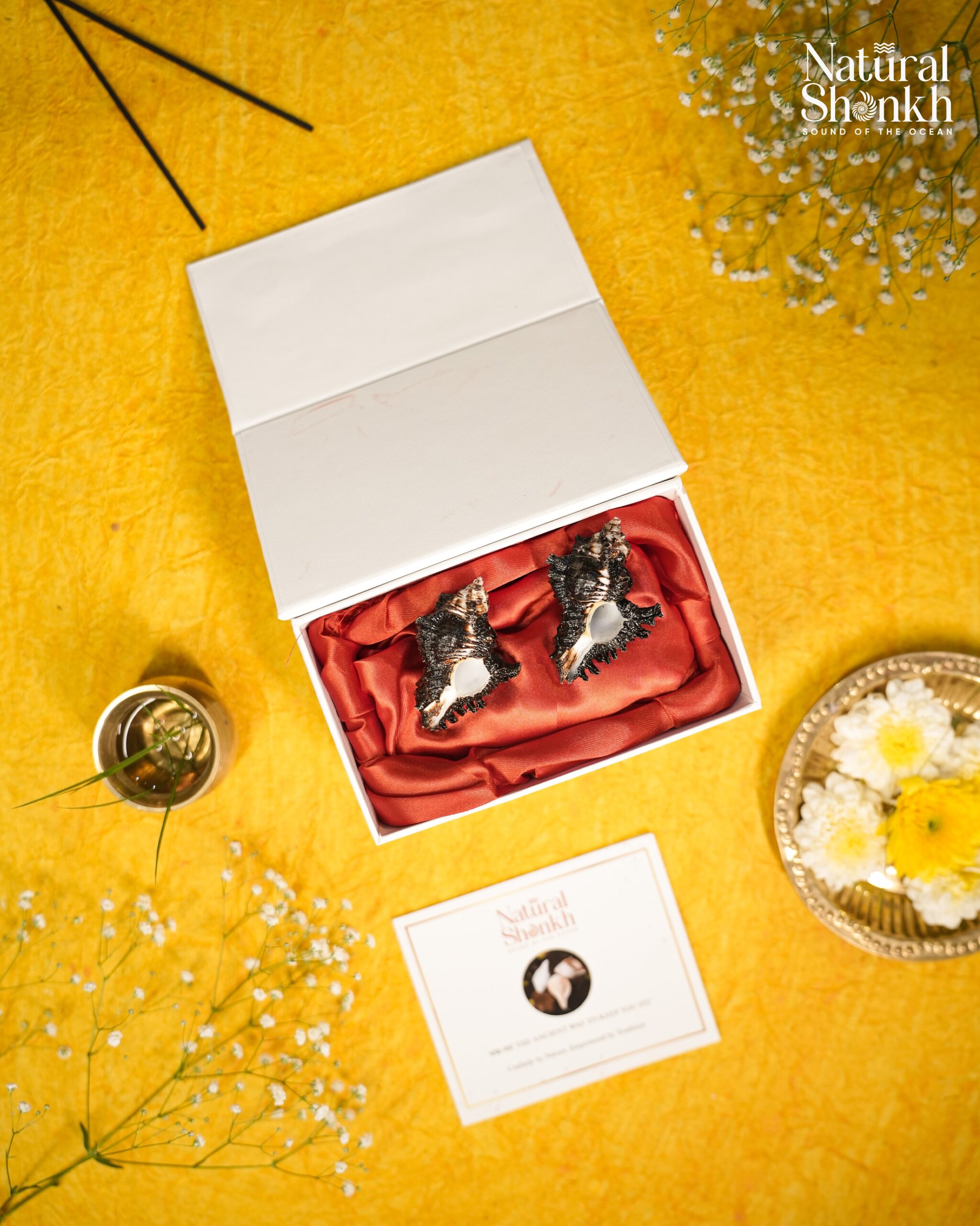 Shani Shankh Packeging