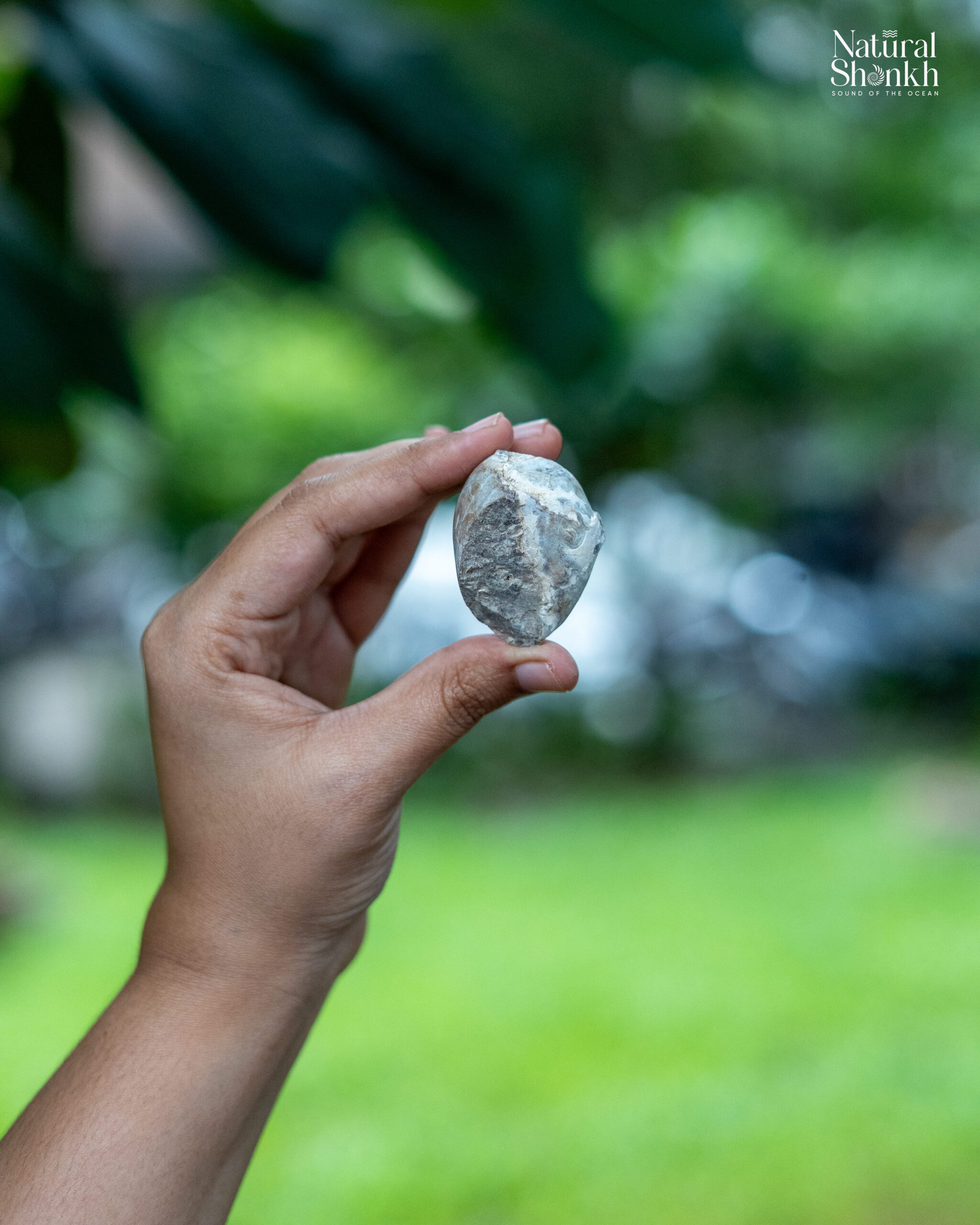 Heera Shankh in hand 2