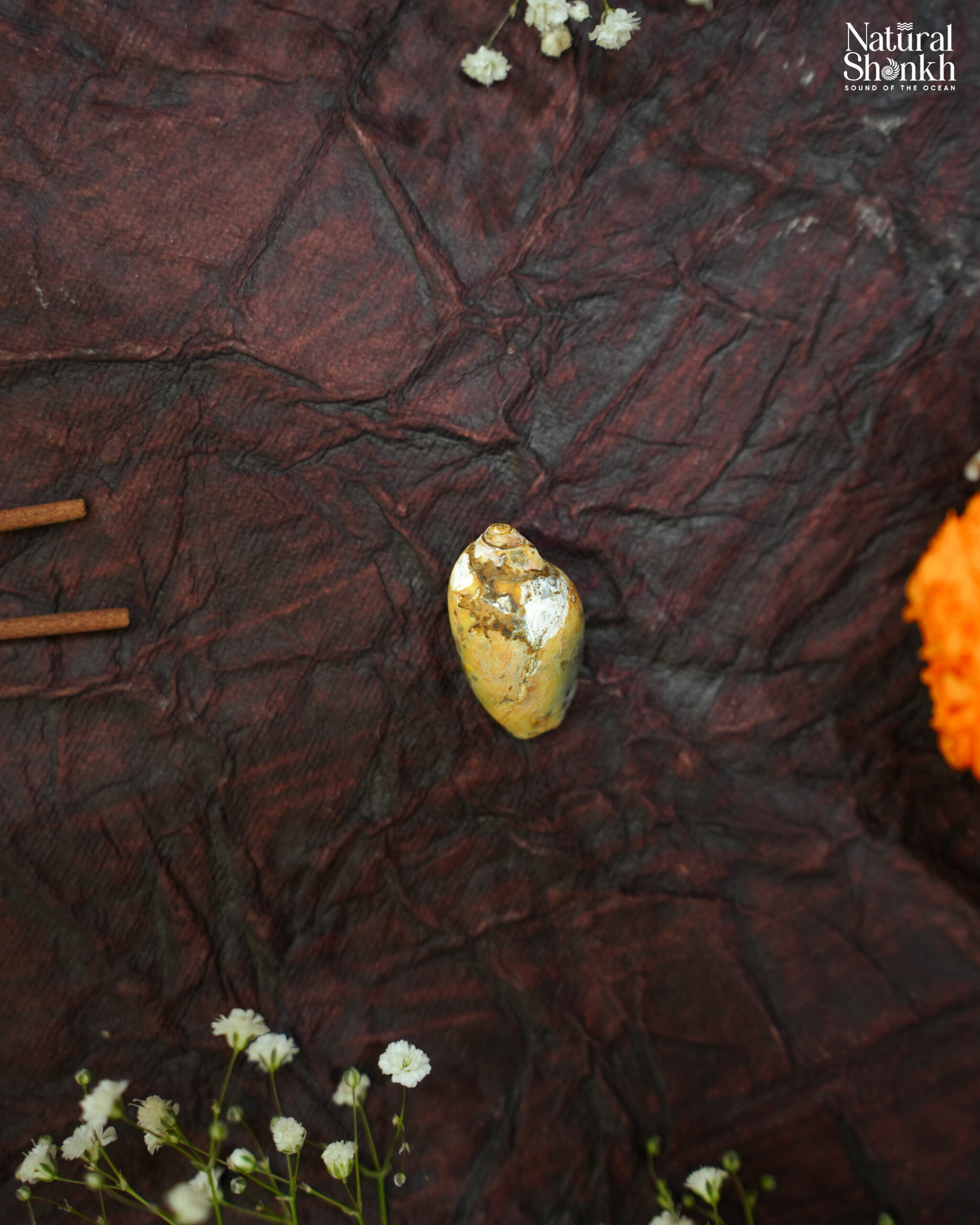 Heera shankh 15-35 decor