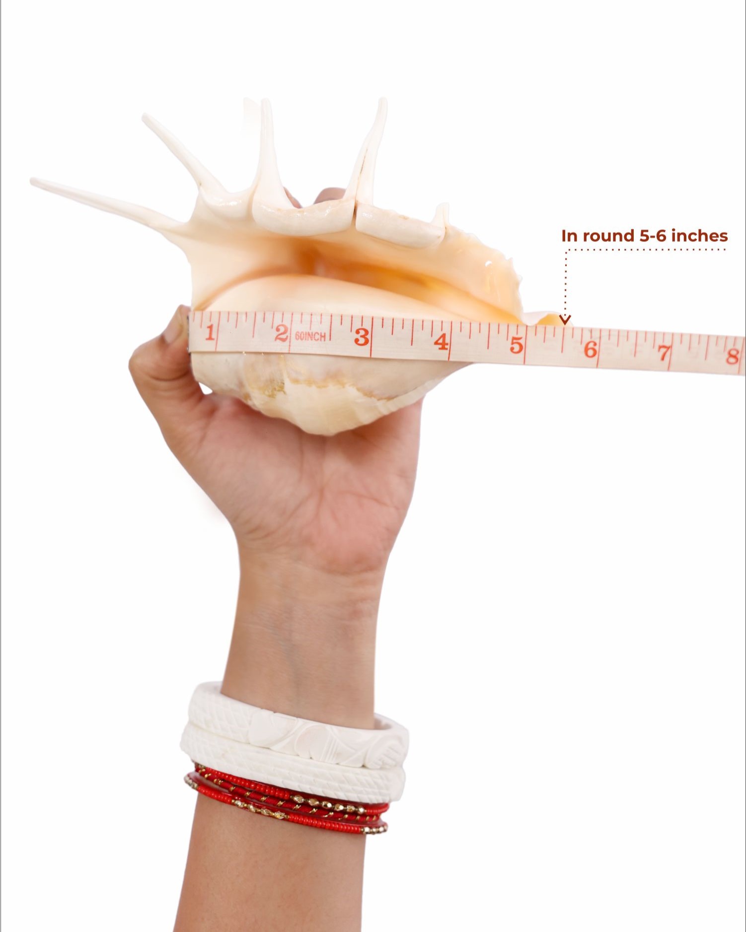 Panchmukhi Shankh-02