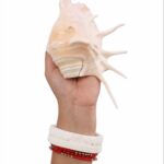 Panchmukhi Shankh-03