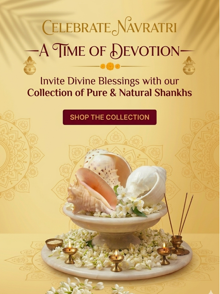 natural shankh - Navratri