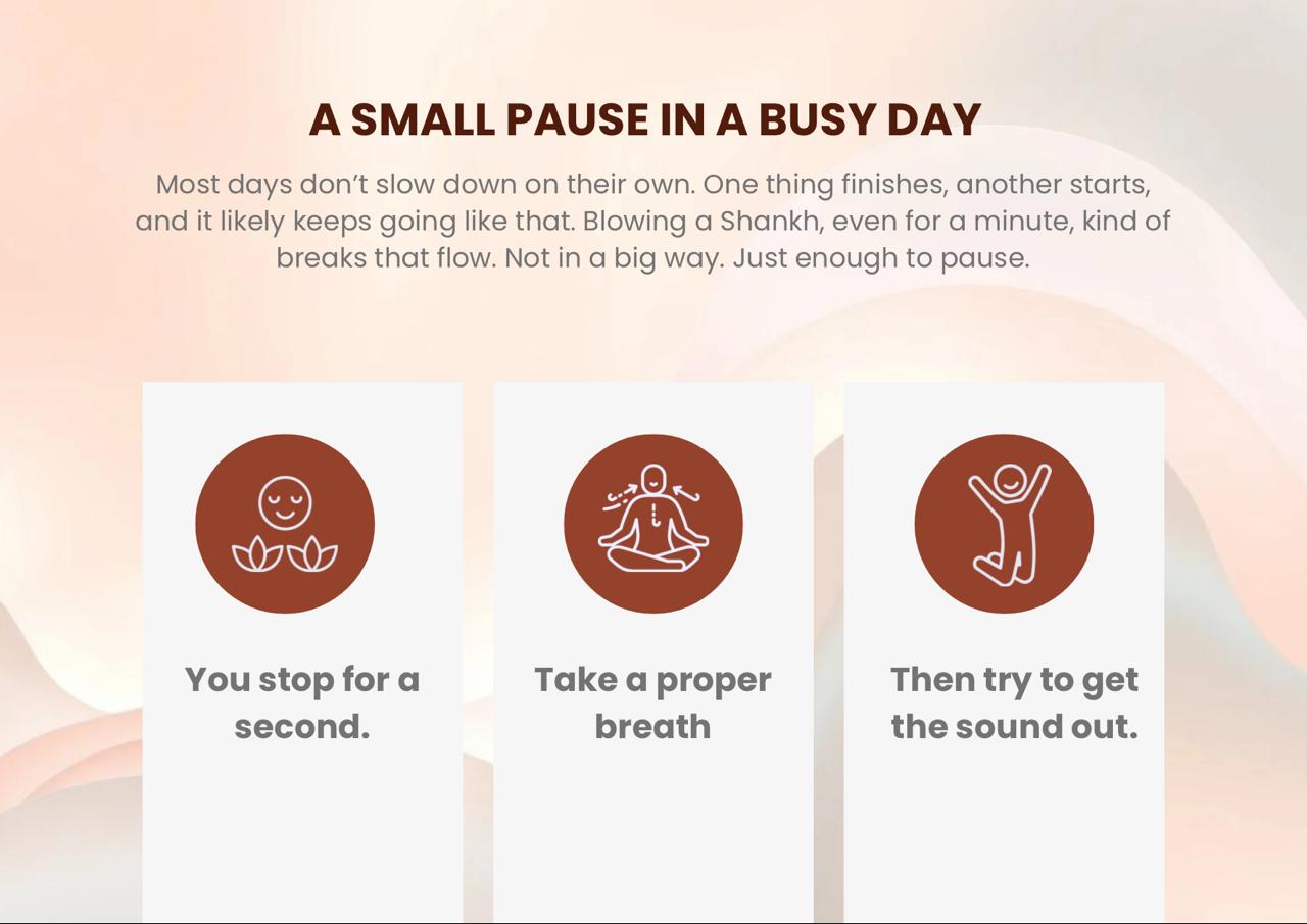 A Small Pause in a Busy Day
