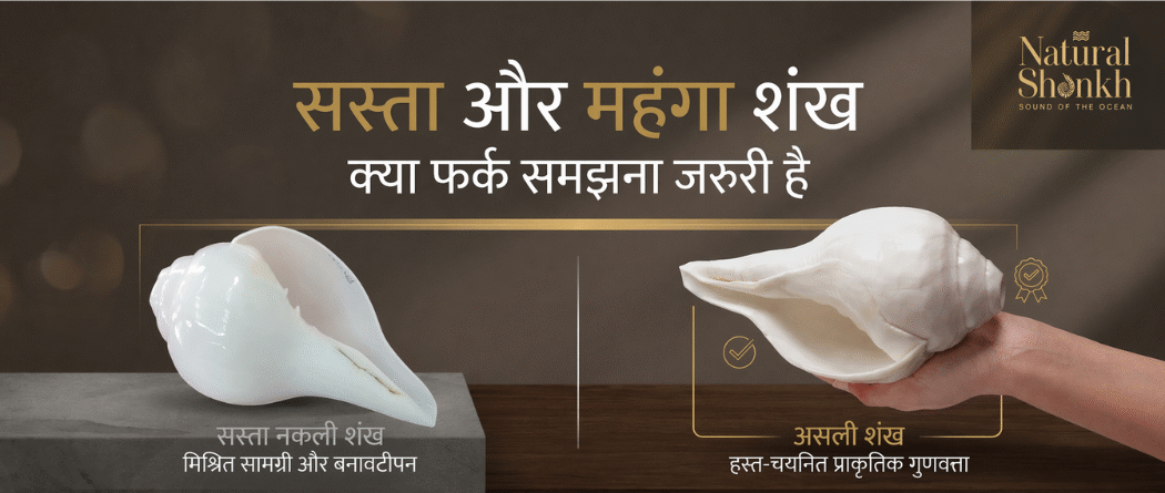 सस्ता और महंगा शंख में क्या फर्क है?