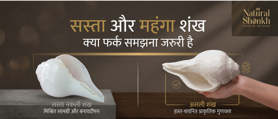 सस्ता और महंगा शंख में क्या फर्क है?